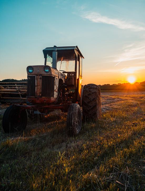 Old tractor in field.
