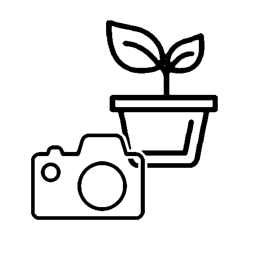 Current Crop Photos