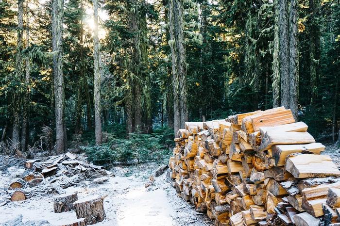 Store Seasoned Firewood outside and do not cover with a tarp.