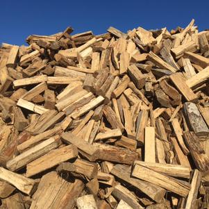 Green Firewood