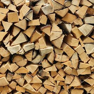 Seasoned Firewood